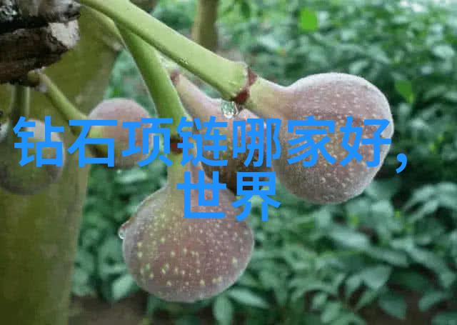 BT天堂网最新版一站式影视资源获取平台