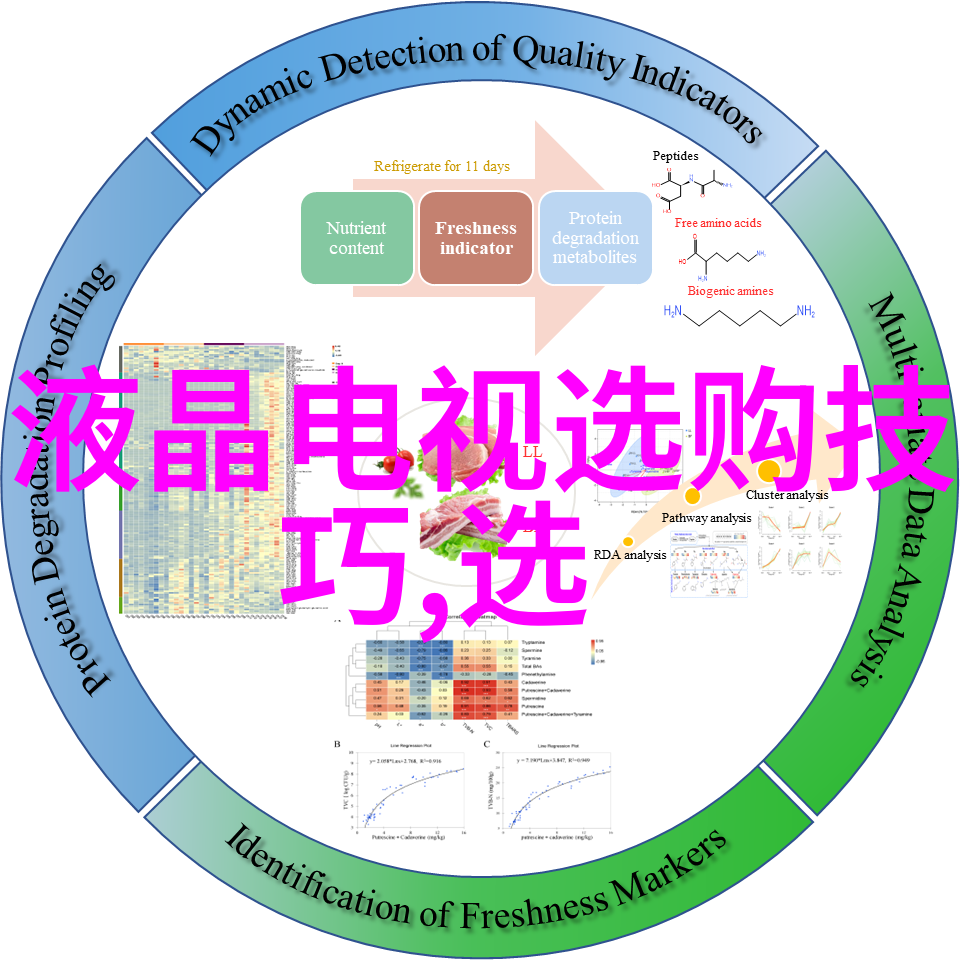 铸造模具工艺流程精密铸造技术模具设计优化材料选择与预处理熔炼和注塑过程控制模具冷却系统设计