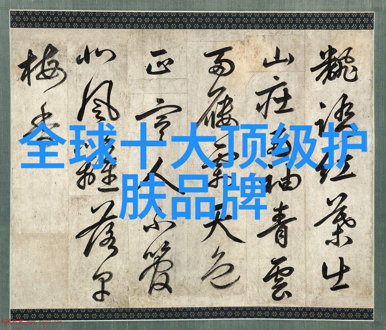 韩国野花之美探索高清免费视频世界
