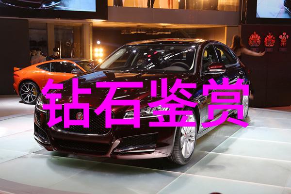 黑暗会计审计师的秘密战役
