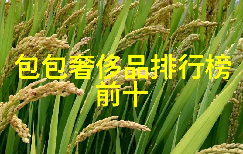 绽放的梦想婚纱之美与传承