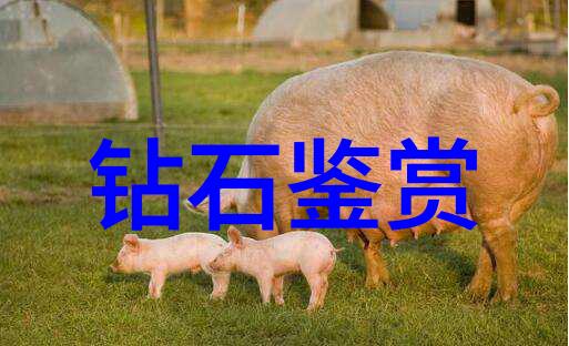 家装大作战从墙角到全屋拯救你的设计梦想