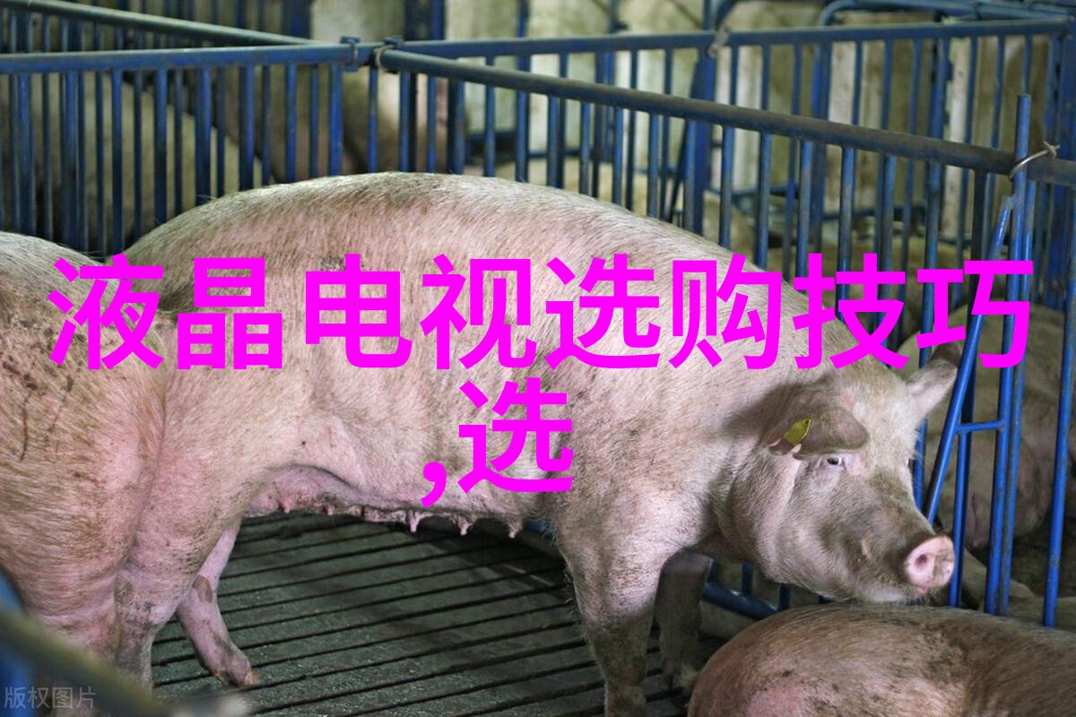 颜真卿的书法艺术唐代书家颜真卿的文化贡献