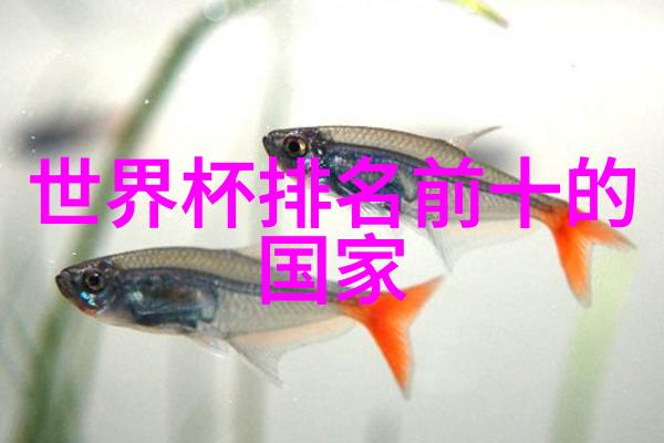审计专业深度解析企业内部控制审计财务报表审计合规性评估