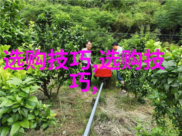 2022年首饰设计大赛璀璨华章的艺术展现