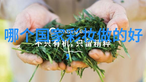 宝钗的树干扶助贾政的温暖命令