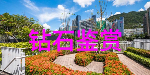 玉石保养我是如何让我的宝石戒指焕发光彩的