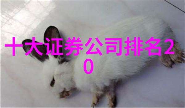一生不失业之手艺探索传统技能的现代应用与职业保障
