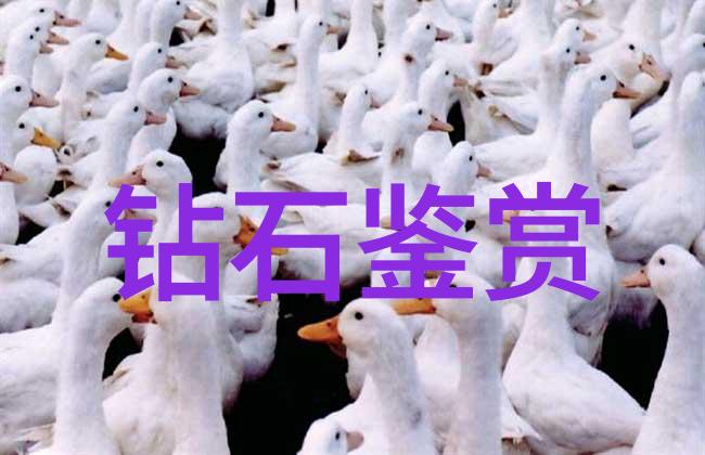 广东工业大学我在这片热土上找到了梦想的火种