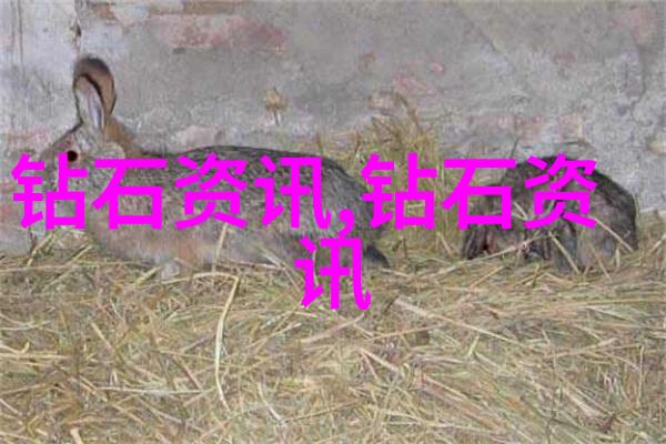 宝诗龙传说诠释古老文明的奇迹与智慧