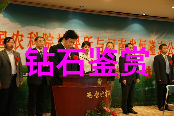 翡翠品种选择指南探索优质绿宝石的秘密