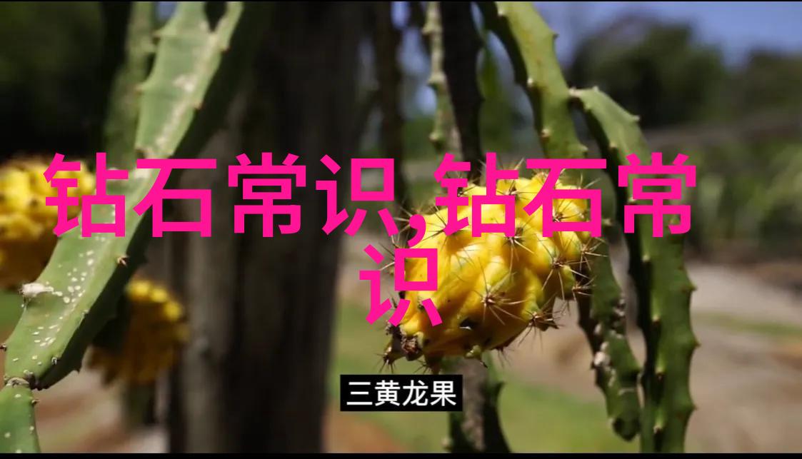 翡翠手镯鉴定大师免费解锁秘密识别真假翡翠的技巧与方法