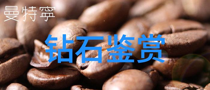 翡翠鉴定技巧揭秘如何轻松区分真伪