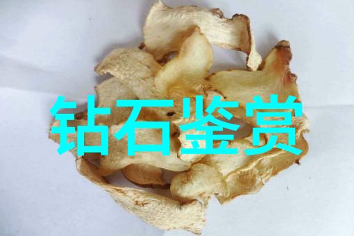 私拍论坛我在这里分享我的摄影小秘密