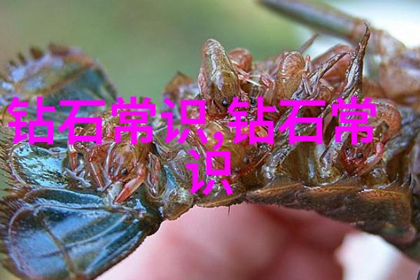 中国珠宝玉石鉴定艺术古今珠光宝气的科学探索