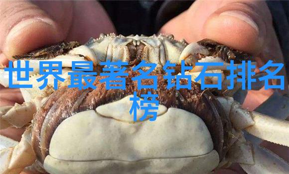 工艺美术学院我在工艺美术学院的创意之旅