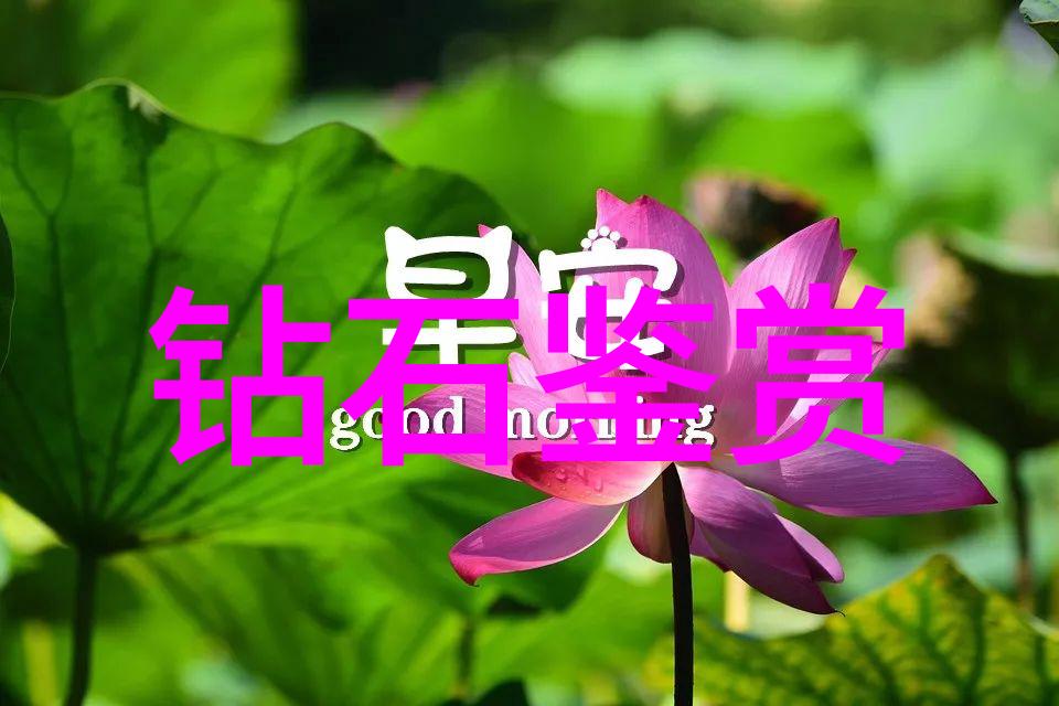 工业设计职业发展创意与创新赋能未来就业前景