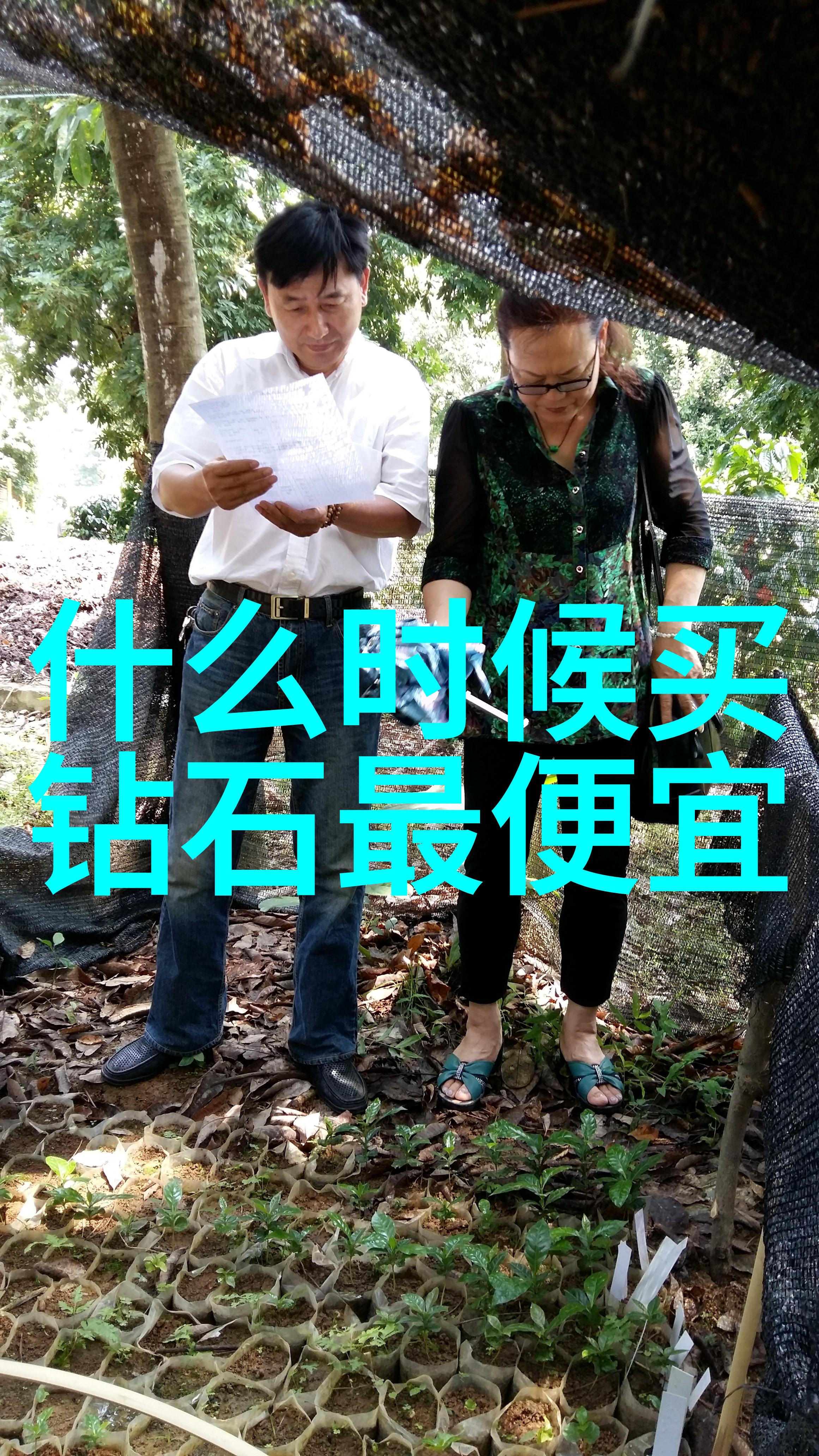 文化的深邃之谜纵览三重境界