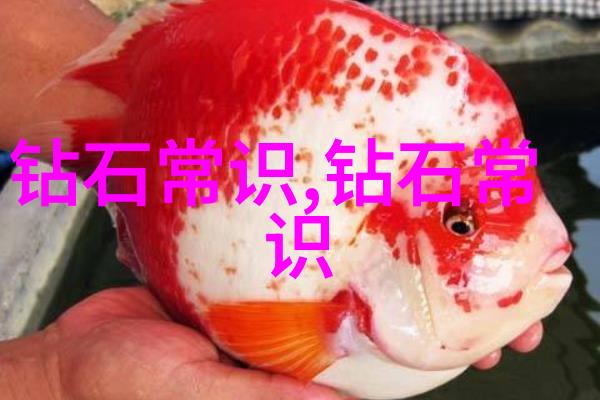 中国珠宝品牌辉煌榜璀璨百强光芒绽放
