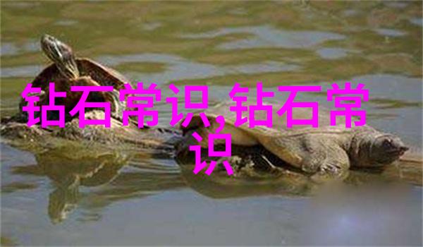 珊瑚玉饰品璀璨夺目自然之冠