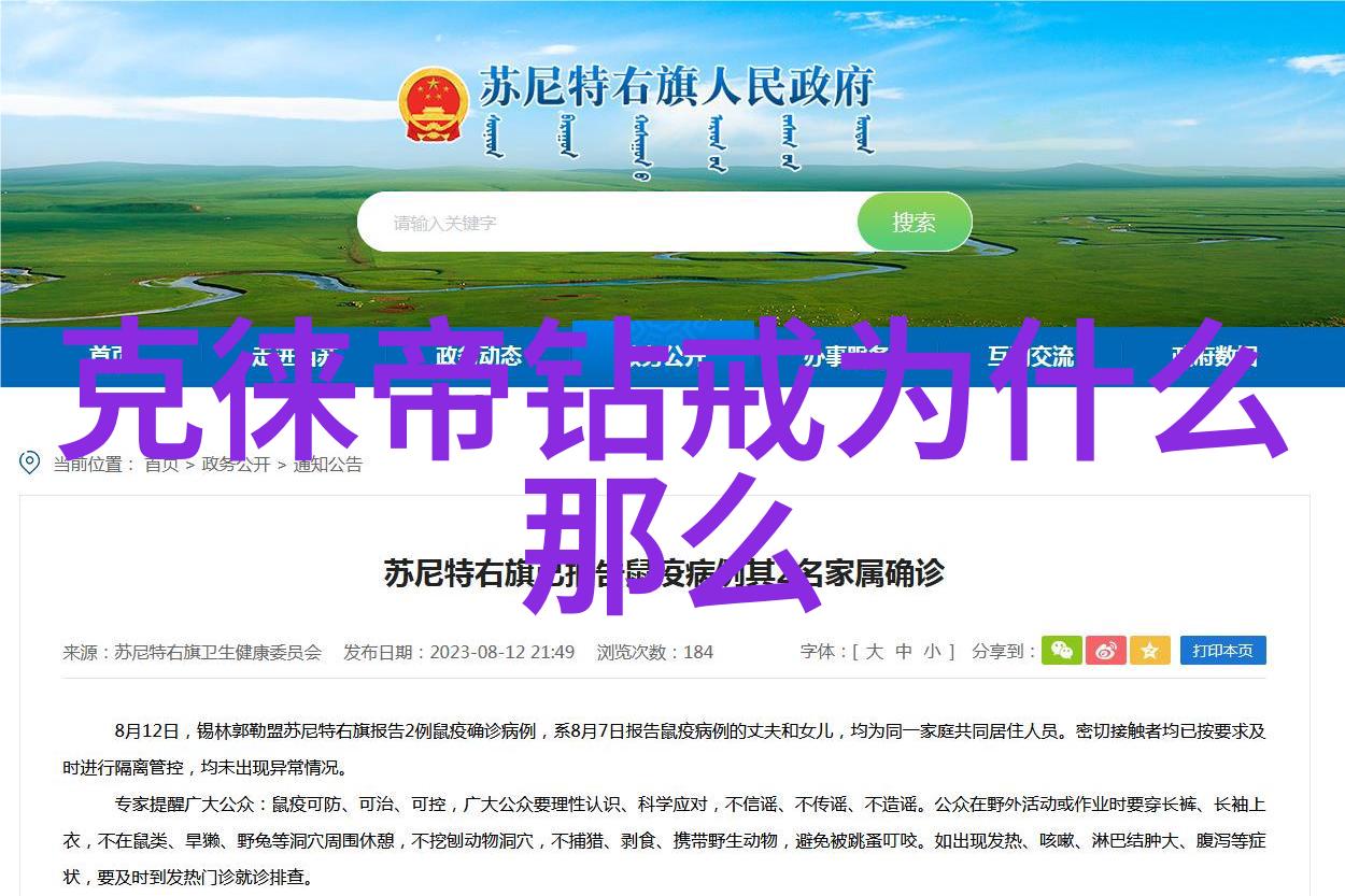 红色传承亲历者回忆与未来展望