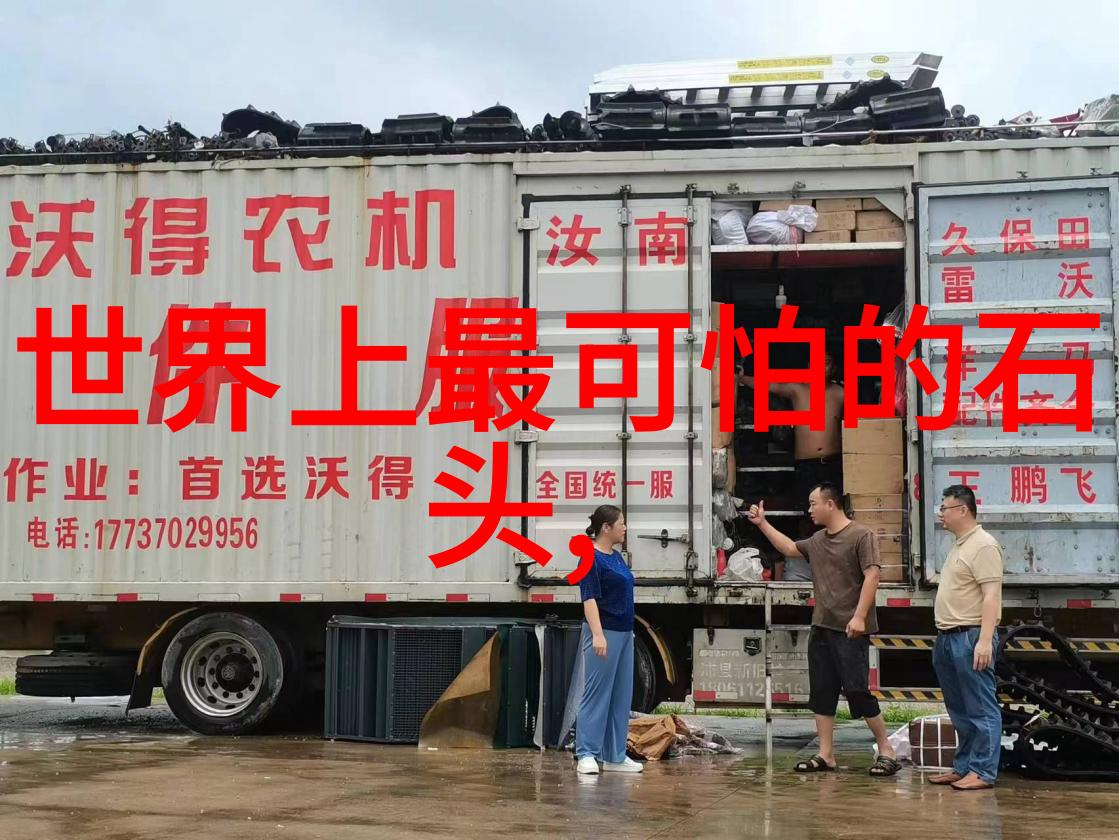远方国度的和亲之恋