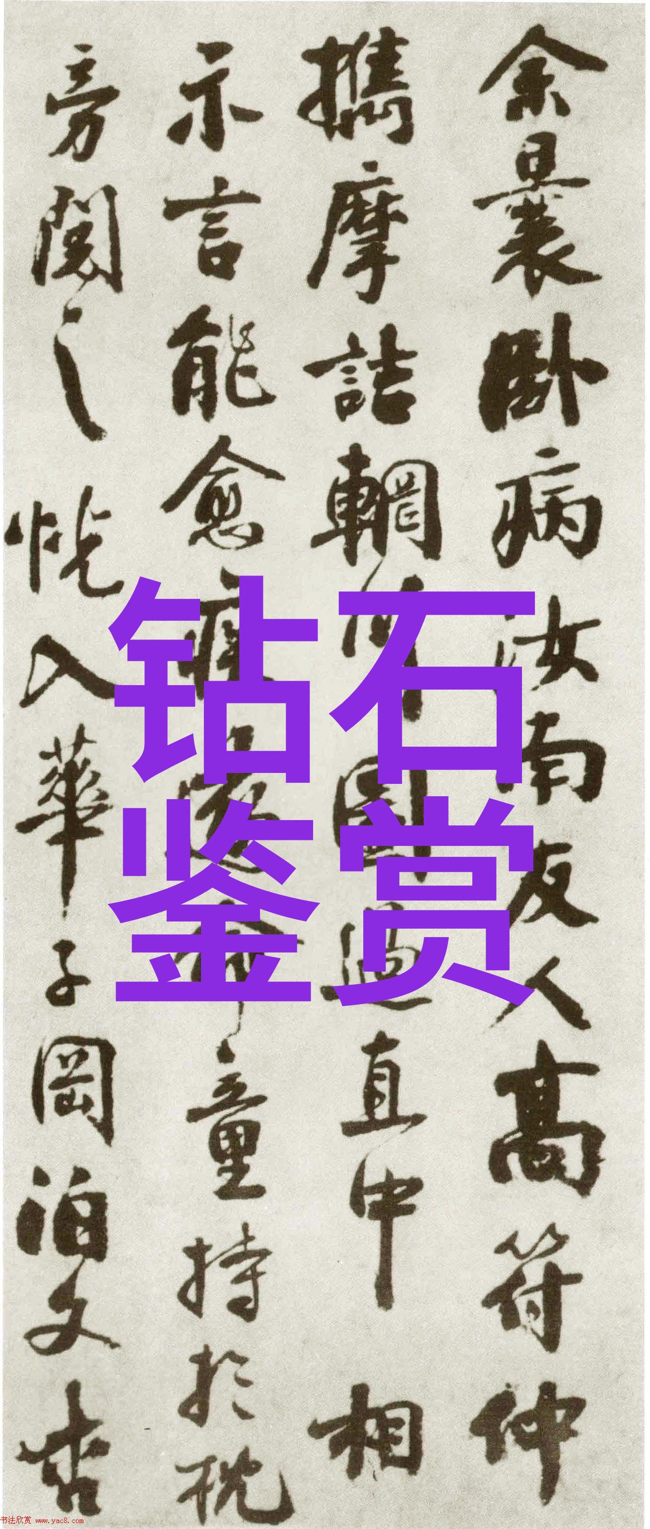 翡翠之美揭秘好品种的标准与选择