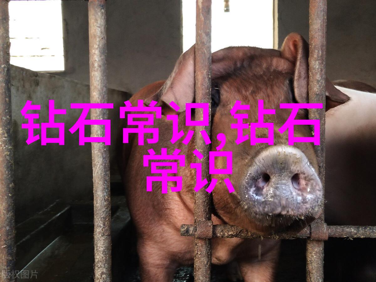 主题我是工艺部门的魔术师这就是我的主要职责