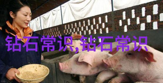 玉石鉴赏之道揭秘古今珍稀宝藏