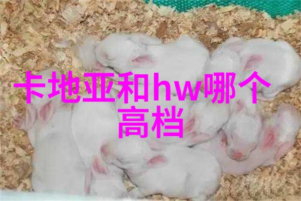 工程造价专业-精准预算工程造价专业的策略与实践