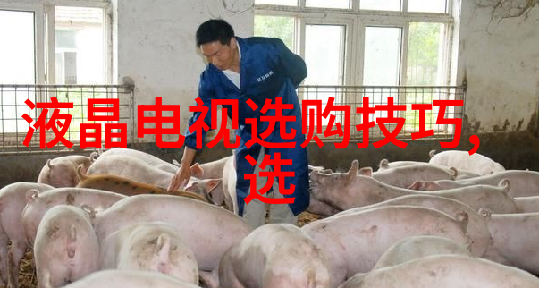 我的日常从0到1的工艺工程师生涯