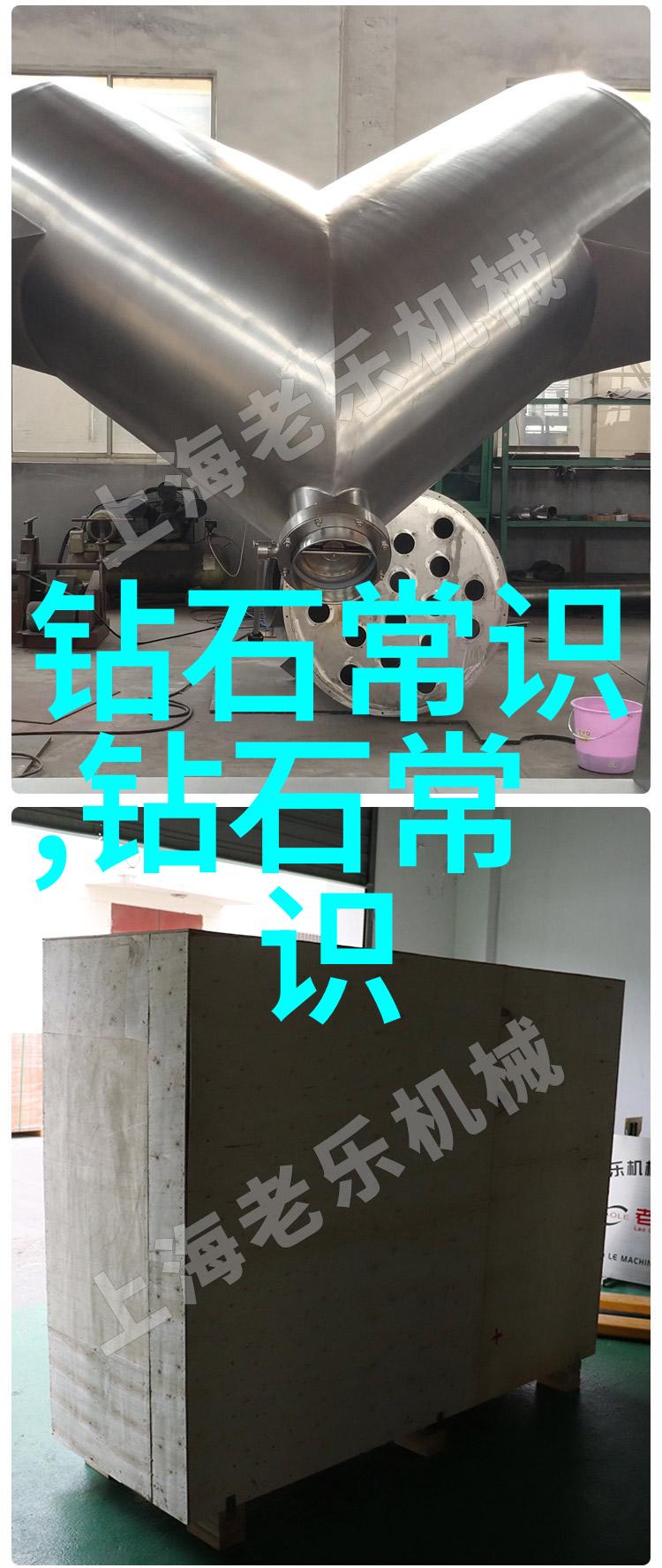 珊瑚绽放的抒情纽带