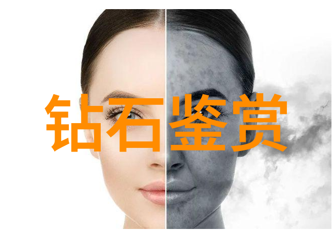 列那狐的智慧一个关于勇气与友谊的小说