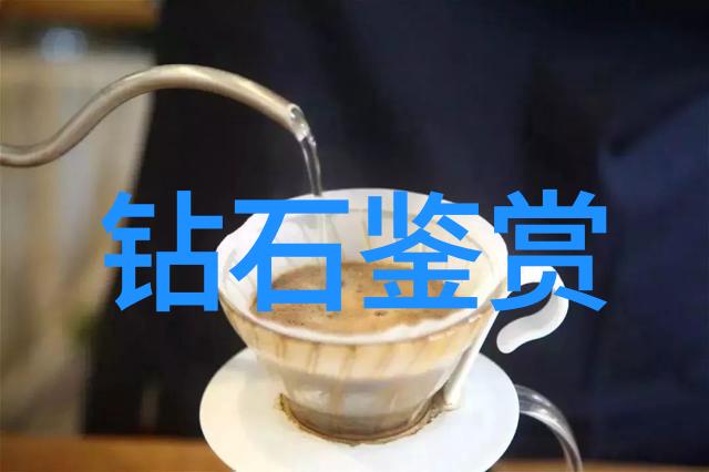 全球最昂贵的克拉美钻石内衣犹如天上掉下来的珍宝价值连城
