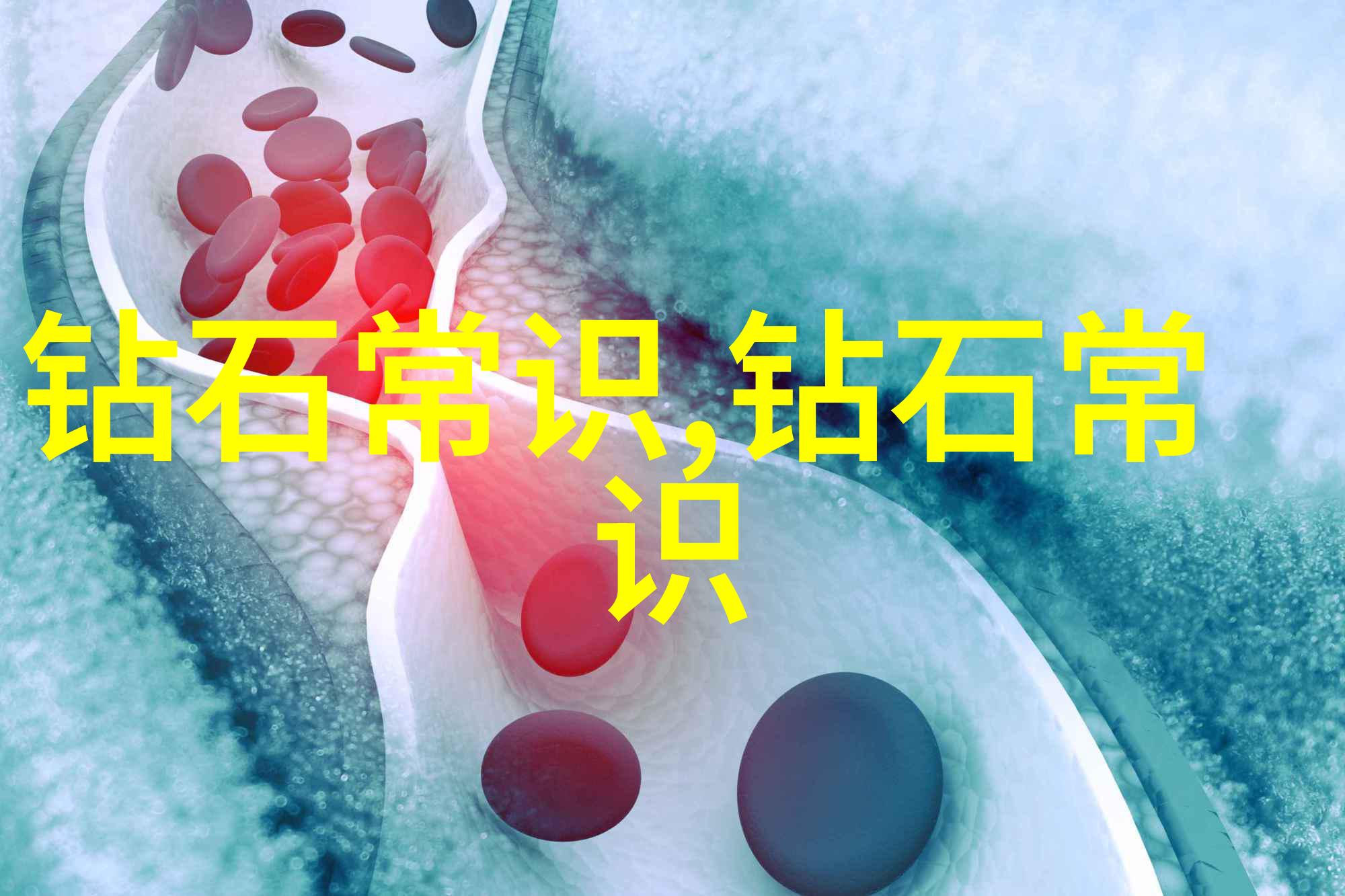 墨翠6000一1万元图片-探秘墨翠6000如何在万元内捕捉精彩瞬间