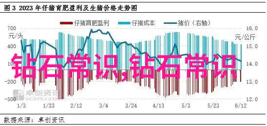 探索中国地质大学珠宝鉴定专业的学术魅力