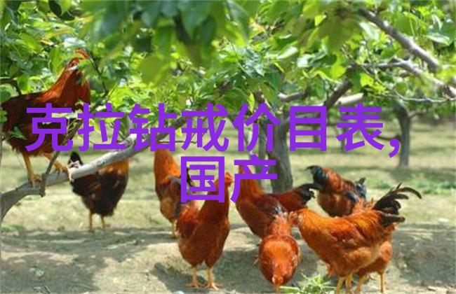 我的夫君们-守候与回忆我的多生夫君们