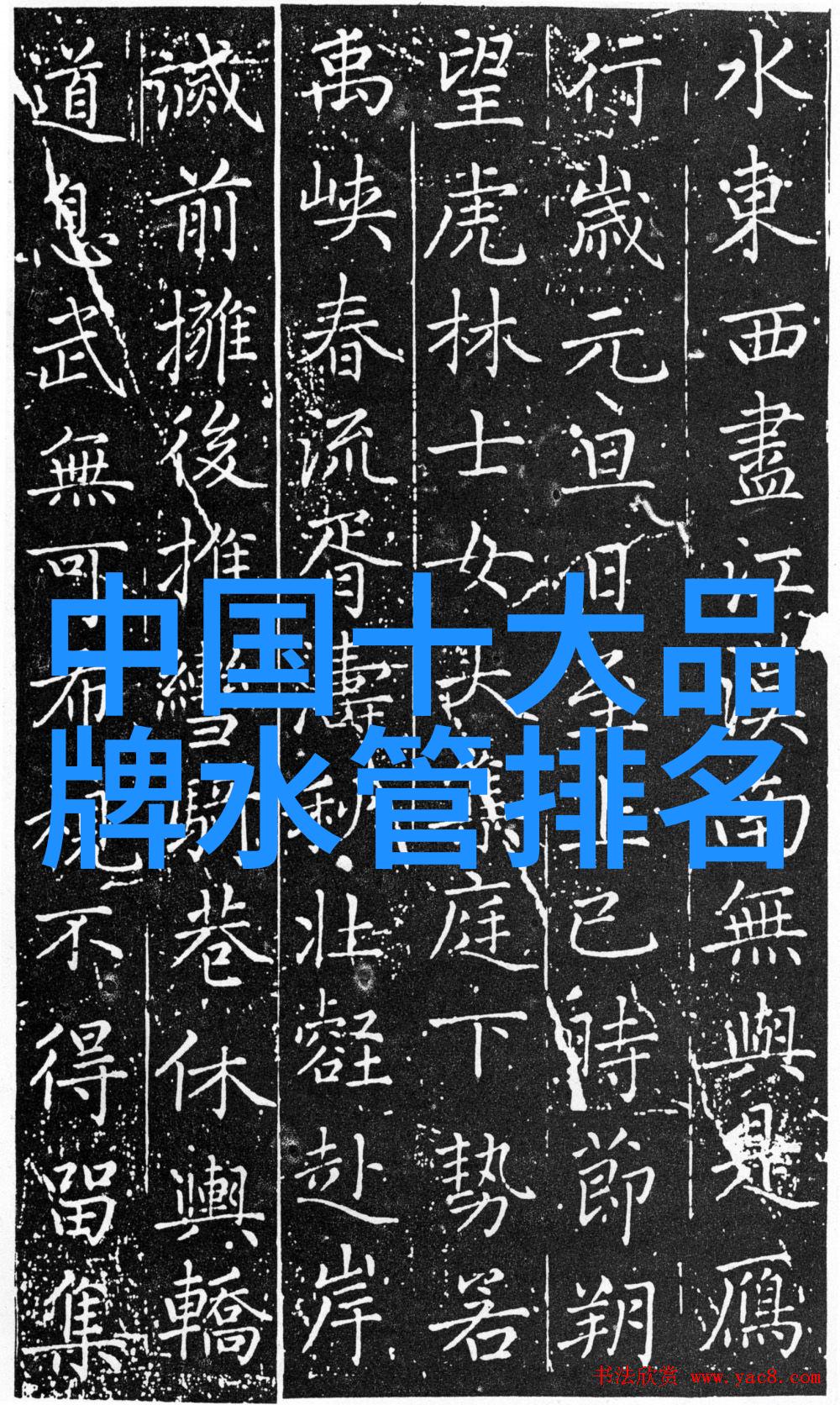 审计学深度探究精准的财务分析与风险评估