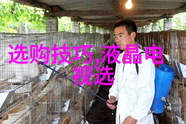 天然翡翠的价值绿意盎然的收藏与投资
