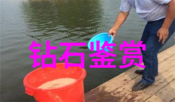 从手工艺到科学技术中国珠宝玉石鉴定中心的发展历程有哪些关键节点