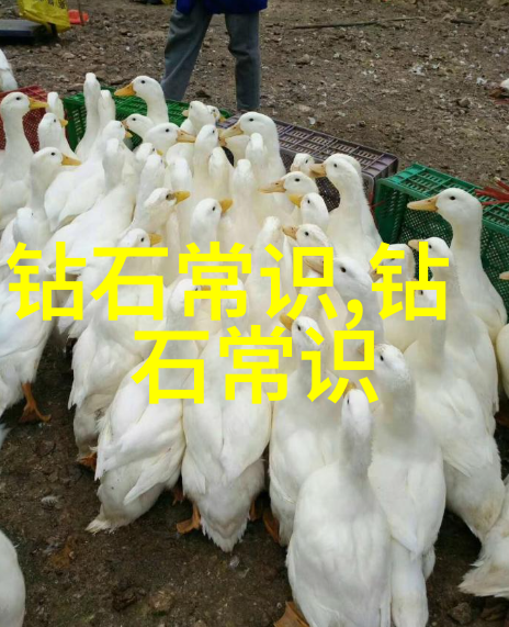 翡翠迷雾缅甸古城中的秘密