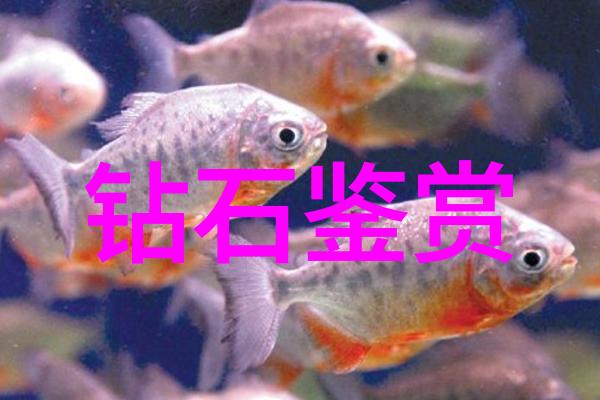 他们用心绘制每一帧带你走进动像制作室的一日记述
