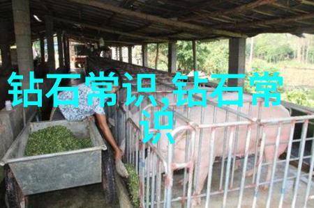 工艺美术专业探索艺术与技艺的结合之美