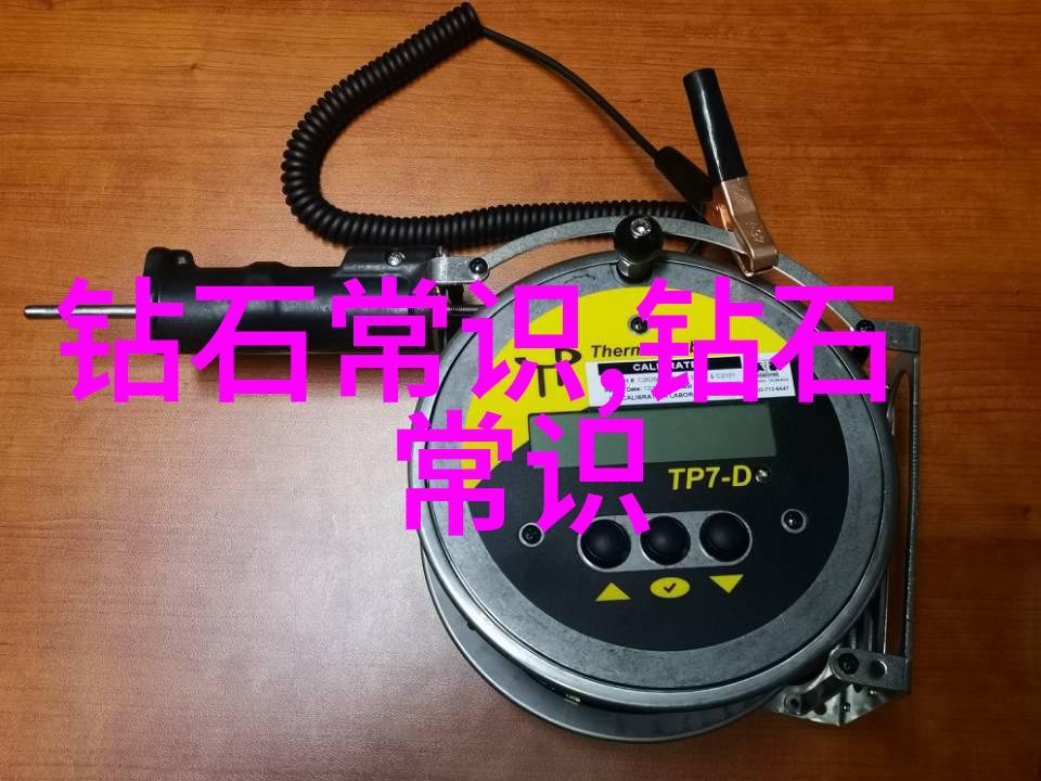 三只小猪的智慧与勇气小猪建设安全的小屋