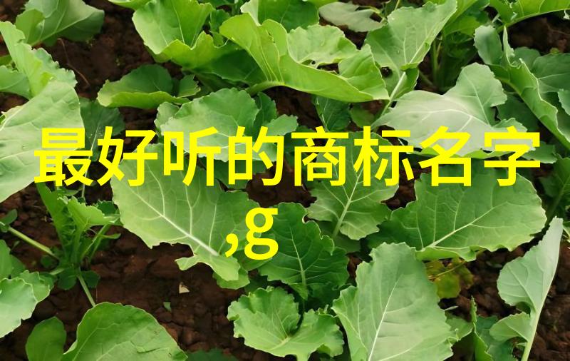 中国自主生产的枪守护国土安全的新时代力量