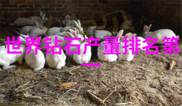 科技与传统并进如何保护和展示世界最大蓝钻