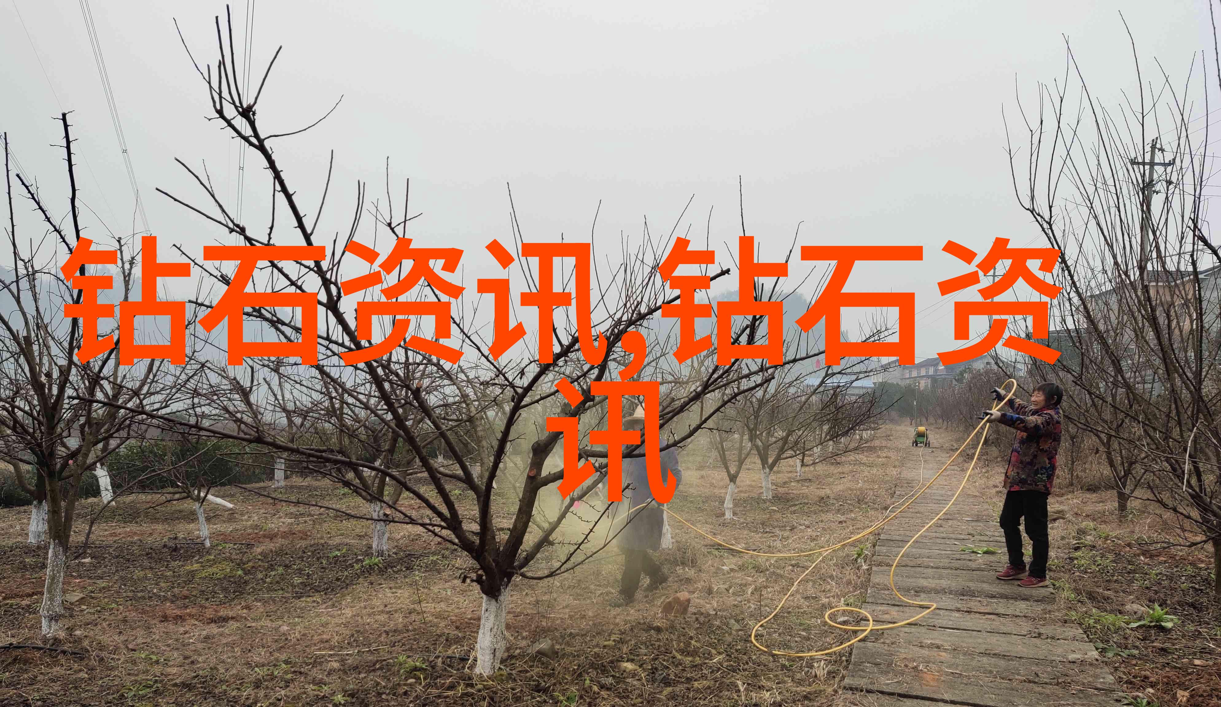 室内设计研究生-精致空间构建与人体工学的完美融合