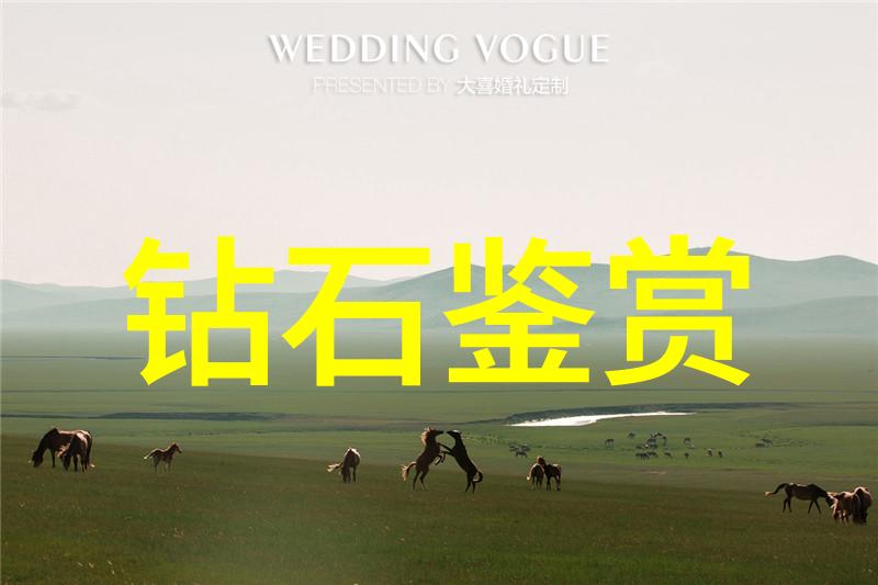 设计艺术-精彩纷呈探索现代封面设计的艺术与科技