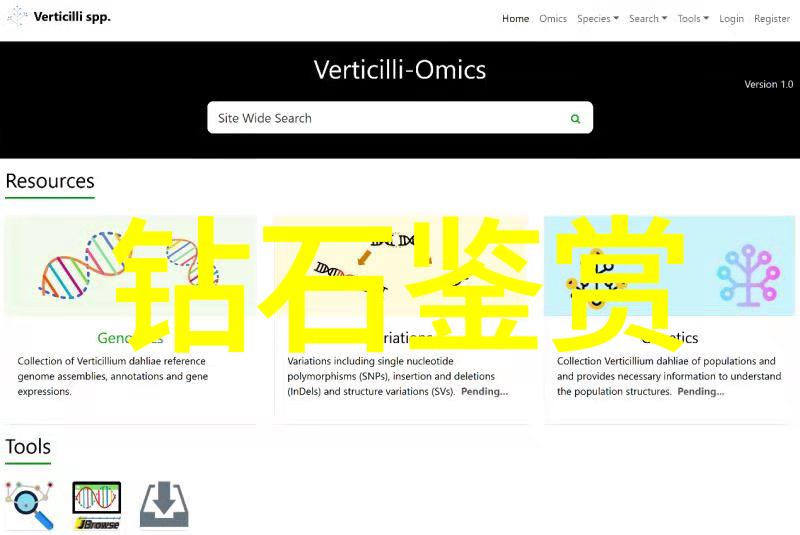 广州饰品压模技术培训专业学习装饰品雕塑艺术