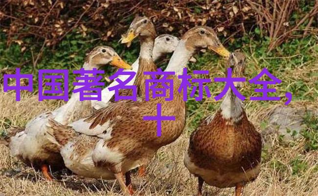 工艺流程设计的步骤从概念规划到实施优化